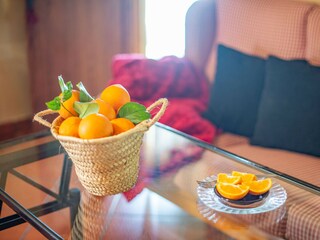 Villa Llubi Kenmerken 58