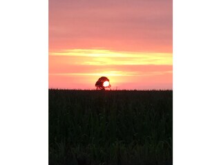 Sonnenuntergang über dem Deich