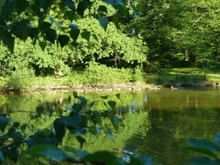 Castle Lurcy-Lévis Environment 19