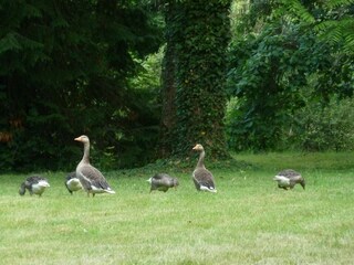Schloss Lurcy-Lévis Umgebung 20