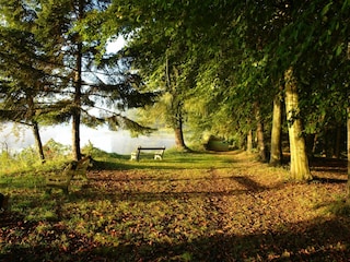 Castello Lurcy-Lévis Ambiente 17