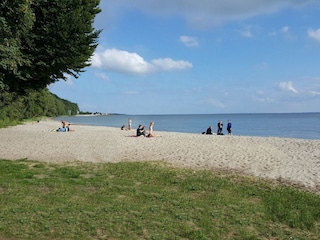Haffstrand in Kamminke in 3 km Entfernung