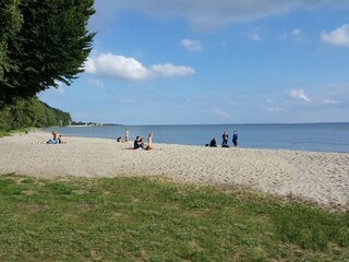 Haffstrand in Kamminke in 3 km Entfernung