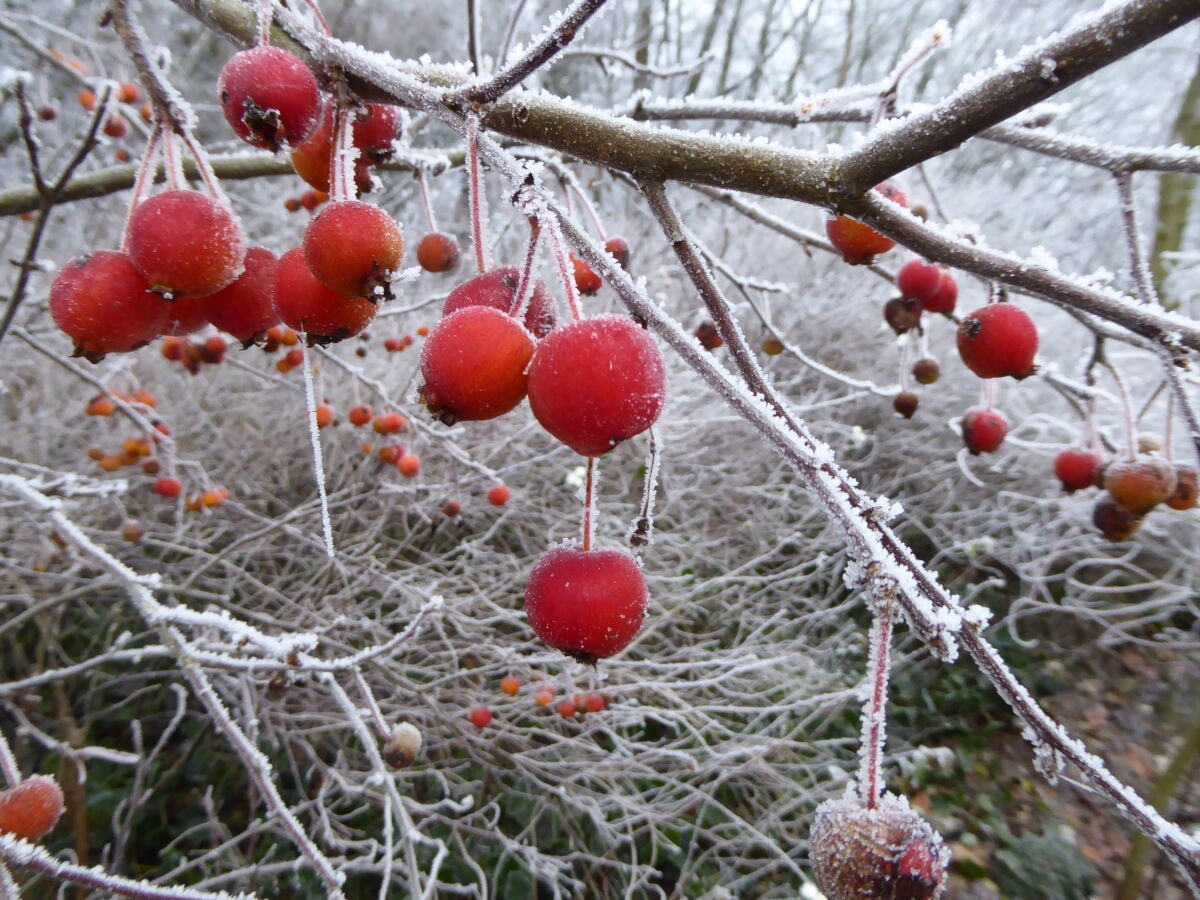 Farbkleckse im Winter