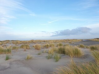 Vakantiehuis Nes Omgeving 17