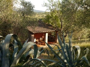 Kleines Ferienhaus am Landhaus La Rubareccia - Caldana - image1