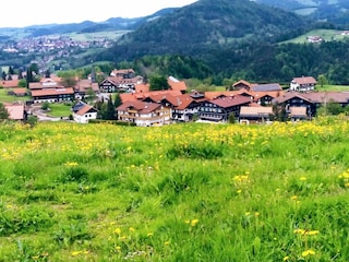 Blick über Steibis im Frühling