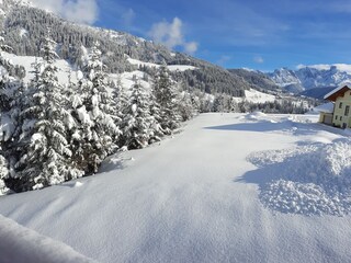Blick von der kleinen Terrasse