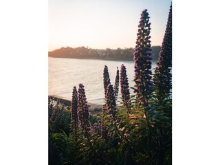 Casa per le vacanze Perros-Guirec Registrazione all'aperto 4