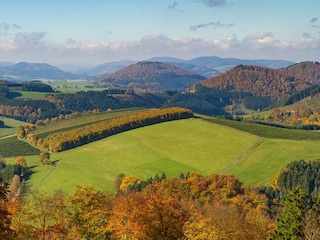 Villa Schmallenberg Environment 16