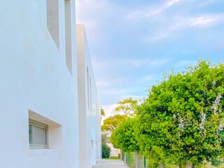 Villa Alcudia Buitenaudio-opname 8