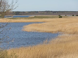 Appartement Gingst Omgeving 35