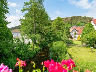 Appartement Diemelsee Environnement 18