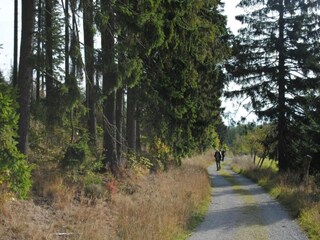 Appartement Diemelsee Omgeving 19