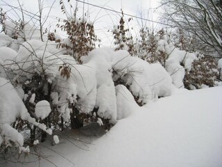 Apartamento Diemelsee Entorno 26