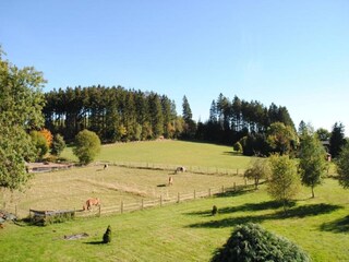 Apartamento Diemelsee Entorno 21