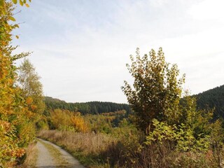 Appartamento Diemelsee Ambiente 24