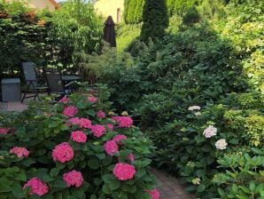 Ferienwohnung 01 Altenberg