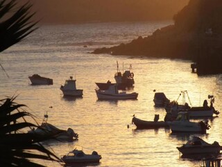 Apartamento Sao Martinho do Porto Entorno 34