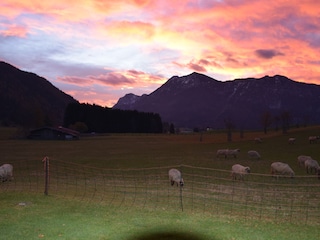 Ferienwohnung Inzell Umgebung 14