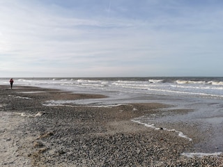 Ferienwohnung Norderney Umgebung 17