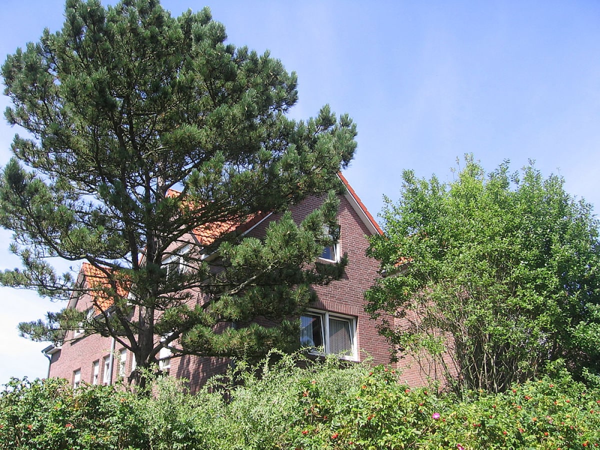 Ferienhaus Mayen