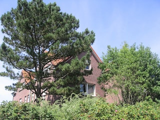 Ferienhaus Mayen