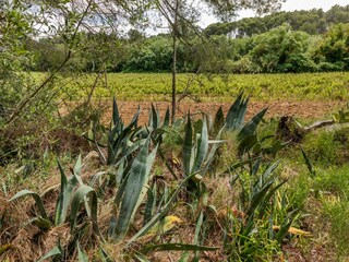 Appartamento Montagnac (Hérault) Registrazione all'aperto 18