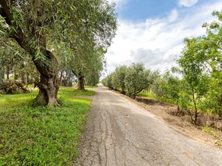 Appartement Montagnac (Hérault) Environnement 30