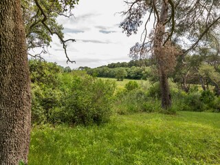 Appartement Montagnac (Hérault) Buitenaudio-opname 14