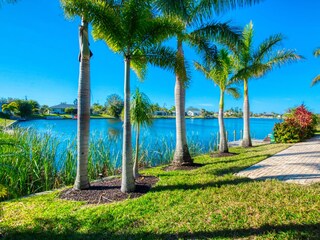 Palmgarden at the Lake