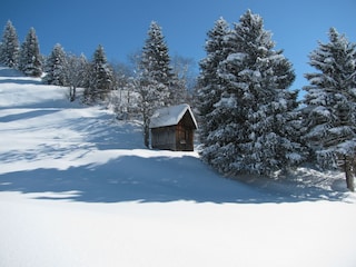 Winteridylle