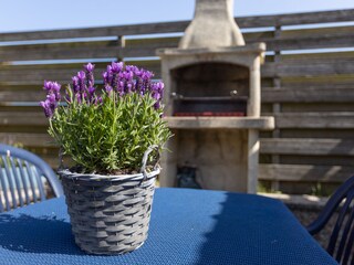 Casa per le vacanze Callantsoog Registrazione all'aperto 9