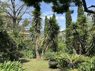 Garden of the villa