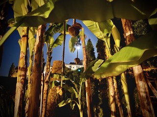 Appartamento per vacanze Vence Ambiente 26