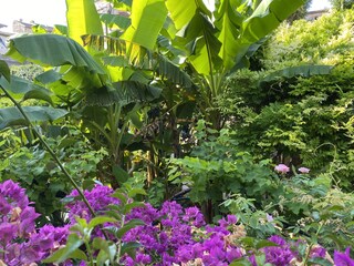 Appartamento per vacanze Vence Ambiente 32