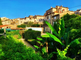 View to old town