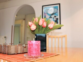 Bungalow Julianadorp Caratteristiche 16