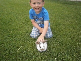 Appartamento per vacanze St. Stefan im Rosental Ambiente 11