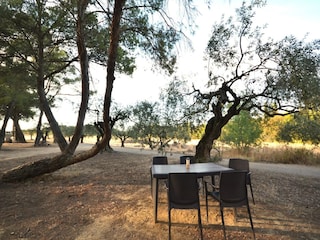 Apartment Montagnac (Hérault) Ausstattung 17