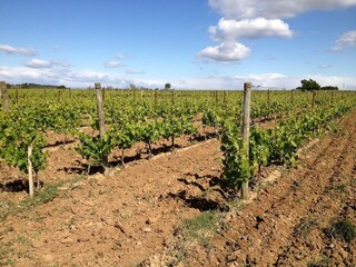 Appartamento Montagnac (Hérault)  39