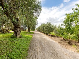Appartamento Montagnac (Hérault) Ambiente 32