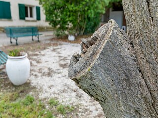 Appartamento Montagnac (Hérault)  34