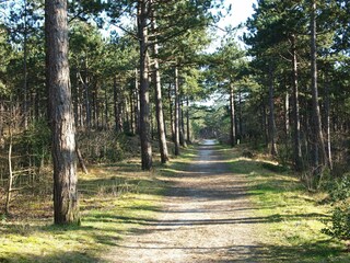 Appartamento per vacanze Groet Ambiente 19