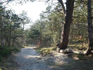 Appartamento per vacanze Groet Ambiente 18