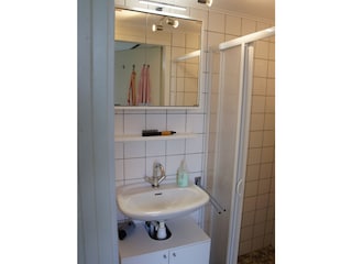 Badezimmer unten mit Dusche und WC