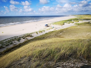 Strand in der Nähe