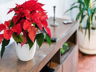 Appartamento Dresden-Plauen  36