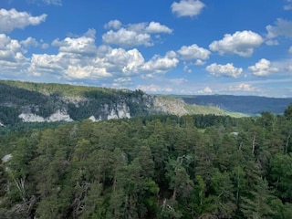 Apartment Dresden-Plauen Environment 29