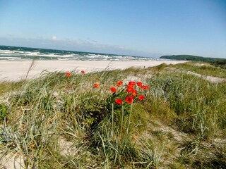 Badestrand